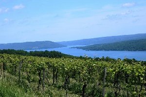 NY Finger Lakes